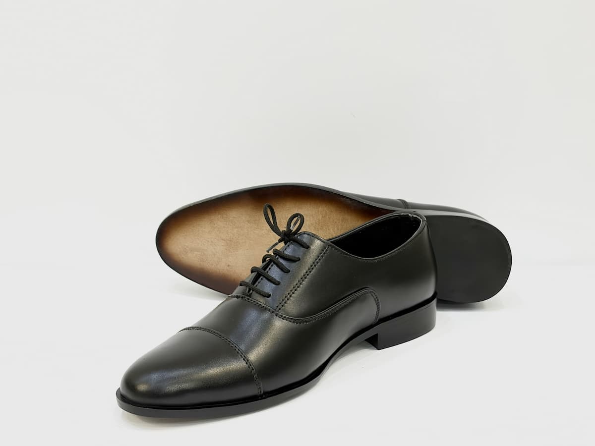 Caiman Bold Black